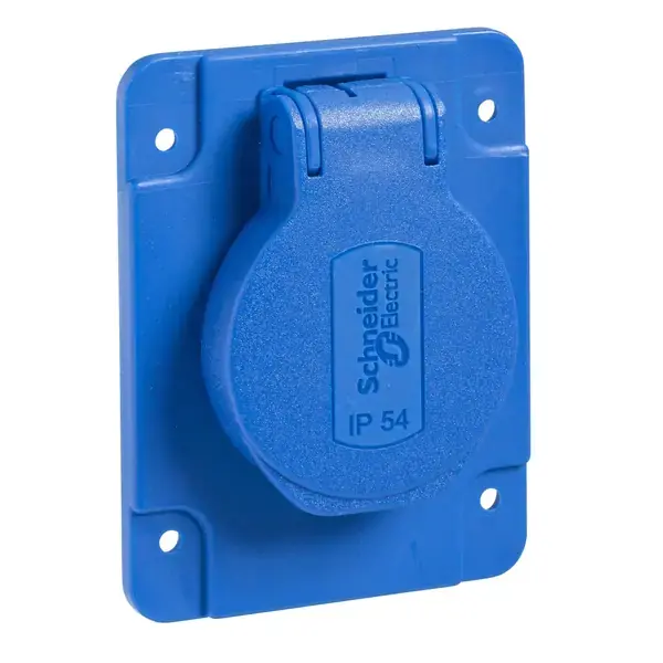 Schneider Electric - PKS61B - PrtKa 2P+E 10-16A 250V German Blue Sckt - 1