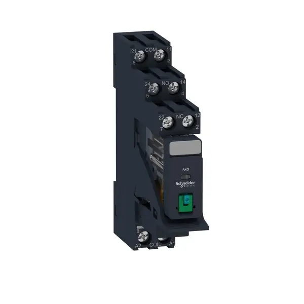 Schneider Electric - RXG21BDPV - Zelio RXG Relay module,2C/O 5A 24VDC, - 1