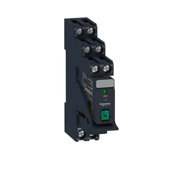 Schneider Electric - RXG22BDPV - Zelio RXG Relay module,2C/O 5A 24VDC, - 1