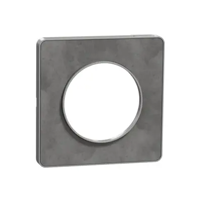 Schneider Electric - S530802V - Odc Tch 1g Frame Alm Bordr71mm Ardoise - 1
