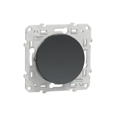 Schneider Electric - S540204 - Two way switch 10A anthracite - 1