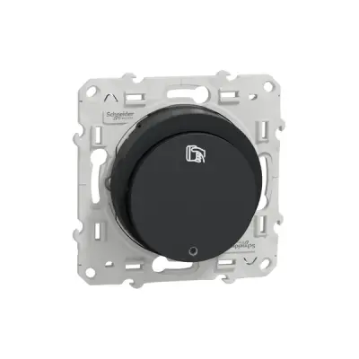 Schneider Electric - S540283 - Key card SW lightable w/location LED 10A - 1