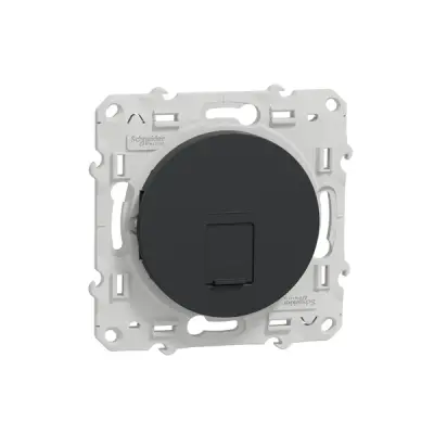Schneider Electric - S540400 - Center plate RJ45 Infraplus anthracite - 1