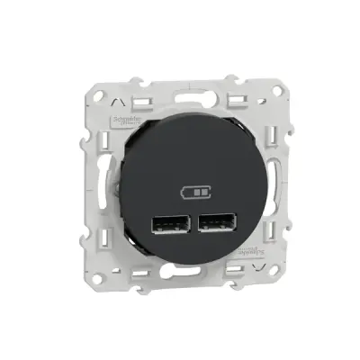 Schneider Electric - S540407 - Double USB 2.1 anthracite - 1