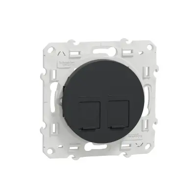 Schneider Electric - S540410 - Center plate 2 RJ45 Infraplus anthracite - 1