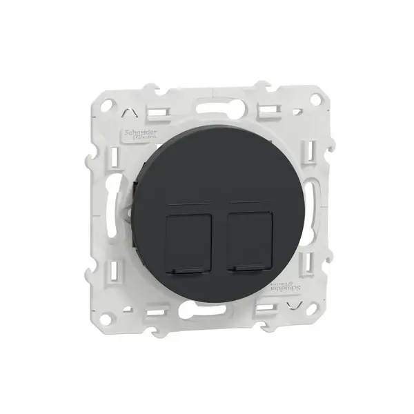 Schneider Electric - S540410 - Center plate 2 RJ45 Infraplus anthracite - 1
