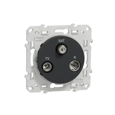Schneider Electric - S540461 - TV / SAT / R terminal (1 input) - 1