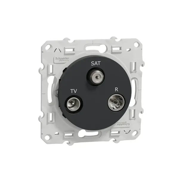 Schneider Electric - S540461 - TV / SAT / R terminal (1 input) - 1