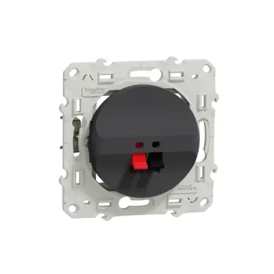 Schneider Electric - S540487 - Loudspeaker socket anthracite - 1