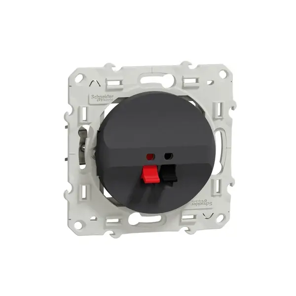 Schneider Electric - S540487 - Loudspeaker socket anthracite - 1