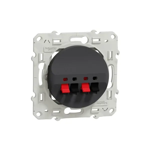 Schneider Electric - S540488 - 2 Loudspeaker socket anthracite - 1