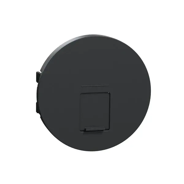 Schneider Electric - S540671 - RJ45 socket center plate Anthracite - 1