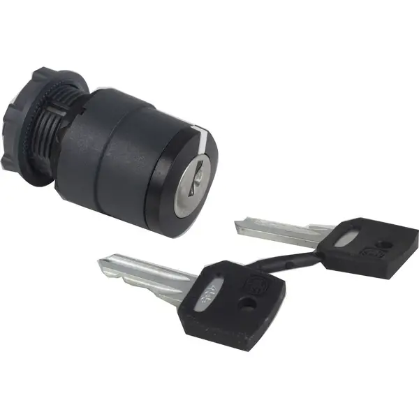 Schneider Electric - ZB5AG2 - KEY SELECTOR OPERATING HE - 1