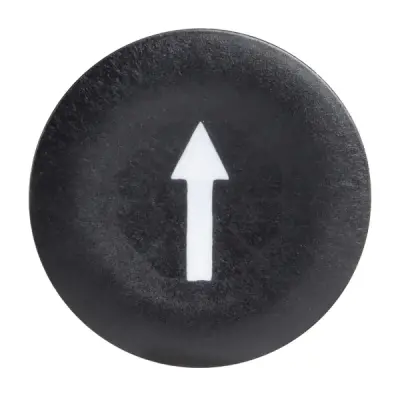 Schneider Electric - ZBA335 - CAP ARROW - 1