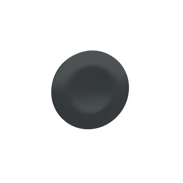 Schneider Electric - ZBA72 - CAPS WITHOUT MARKING -BLACK - 1