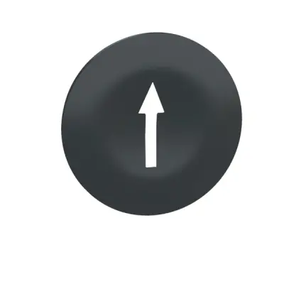 Schneider Electric - ZBA7235 - CAPS WITH MARKING-BLACK - 1