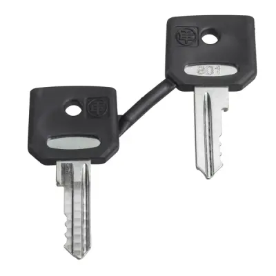 Schneider Electric - ZBD8D1 - set of key 8d1 - 1