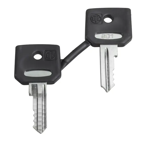 Schneider Electric - ZBD8D1 - set of key 8d1 - 1