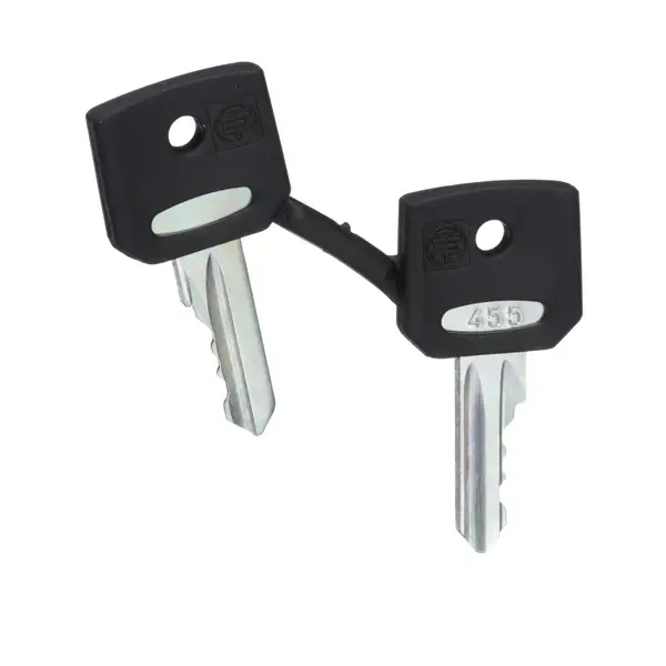Schneider Electric - ZBG455 - SET OF KEY N 455 - 1