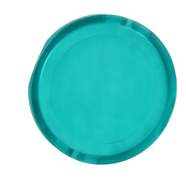 Schneider Electric - ZBW933 - ILL. P.B. LIGHT LENS - 1
