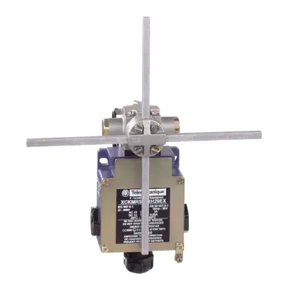 Telemecanique Sensors - XCKMR54D1H29EX - LIMIT SWITCH XCKMR EX ROD LEVER 6mm - 2